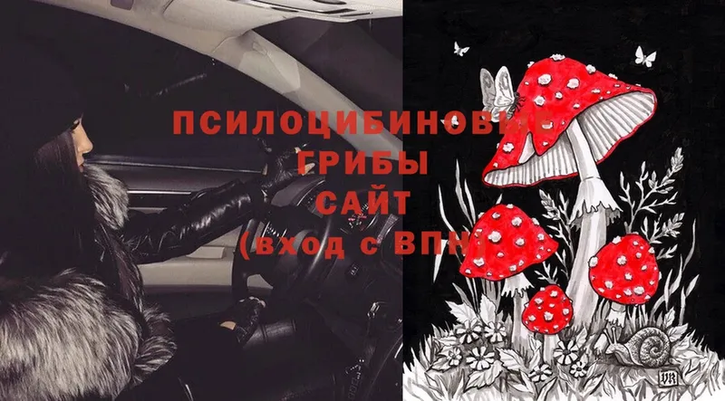 Галлюциногенные грибы Magic Shrooms Змеиногорск